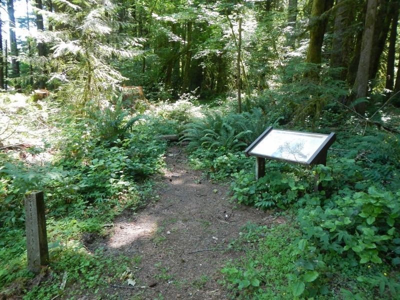 Emigrant's Final Steps Marker image. Click for full size.