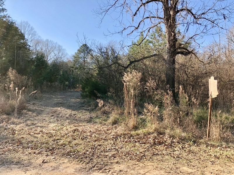 Former site of the Anna Gayle Fry House. image. Click for full size.
