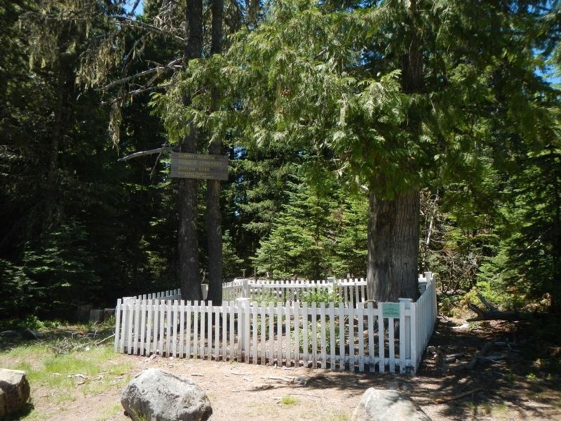 Summit Meadow Pioneer Cemetery image. Click for full size.