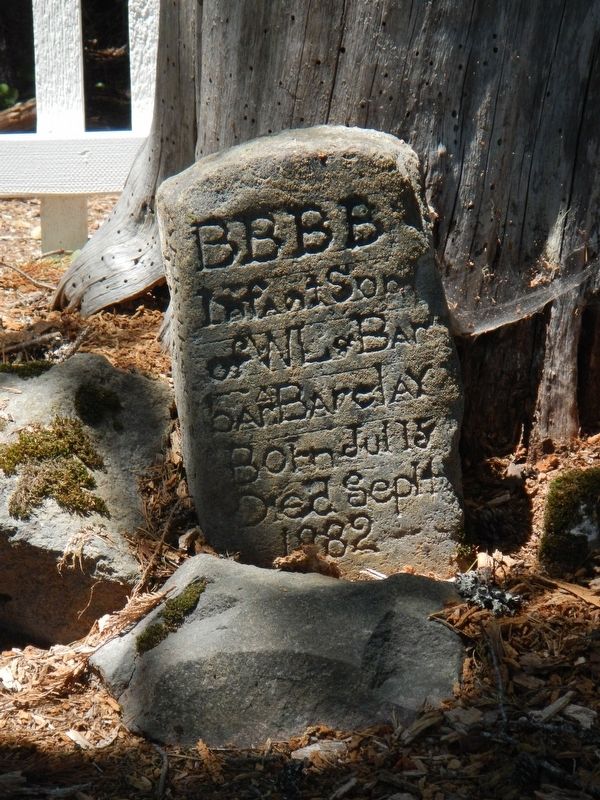 Summit Meadow Pioneer Cemetery image. Click for full size.