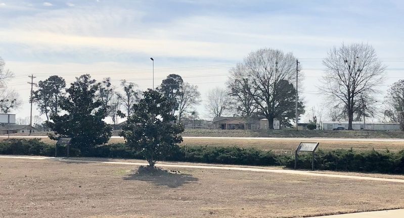 Marker can be seen on left in front of the Magnolia tree along Highway 80.. Click for full size. Marker can be seen on left in front of the Magnolia tree along Highway 80. image. Click for full size.