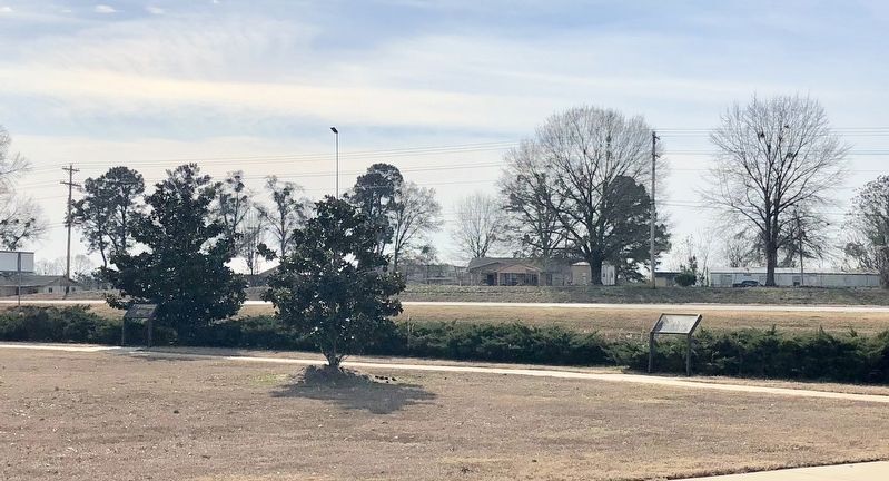 Marker can be seen on left in front of the Magnolia tree along Highway 80. image. Click for full size.
