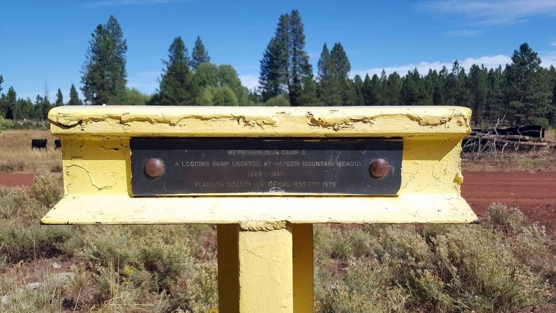 Weyerhaeuser Camp 3 Marker. Click for full size. Weyerhaeuser Camp 3 Marker image. Click for full size.