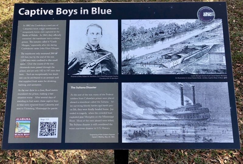 Captive Boys in Blue Marker image. Click for full size.