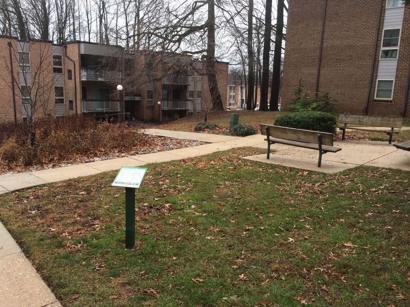 Conservation Landscaping Marker. Click for full size. Conservation Landscaping Marker image. Click for full size.