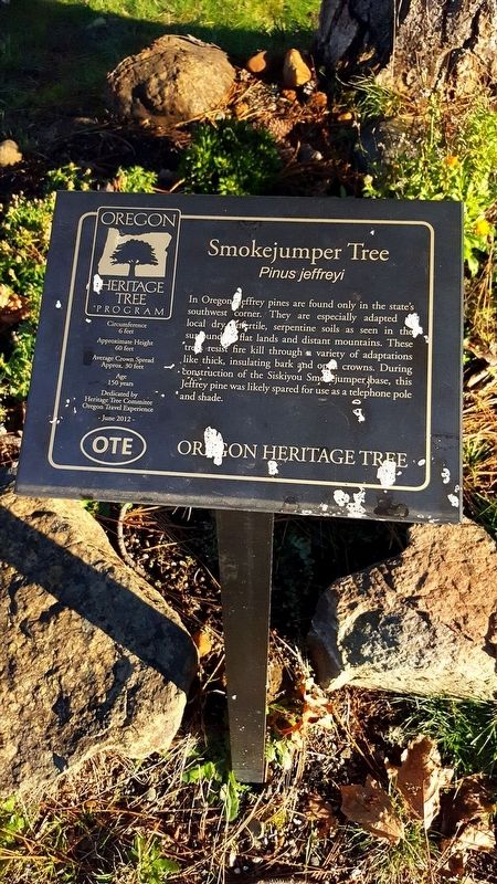 Smokejumper Tree Marker image. Click for full size.