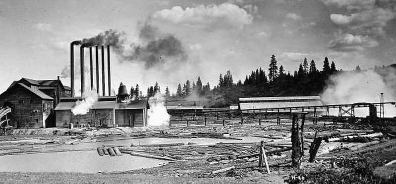 Fruit Growers Lumber Mill at Hilt image. Click for full size.