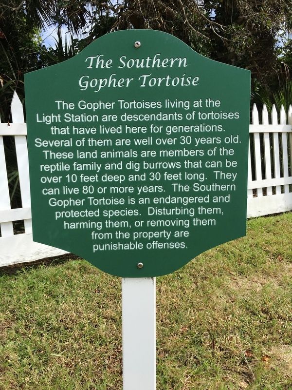 The Southern Gopher Tortoise Marker image. Click for full size.