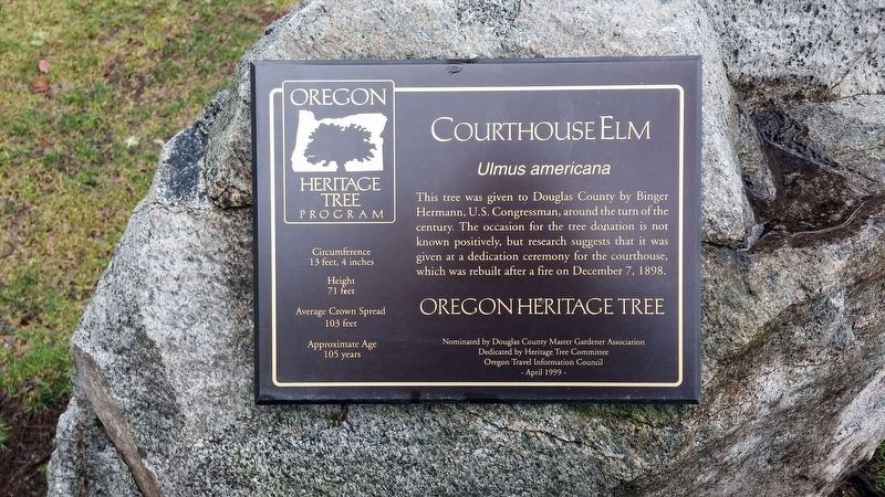 Courthouse Elm Marker. Click for full size. Courthouse Elm Marker image. Click for full size.