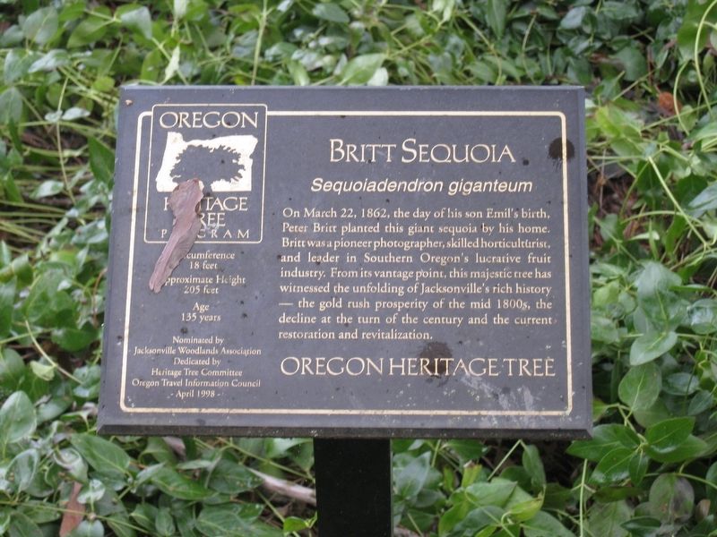 Britt Sequoia Marker image. Click for full size.