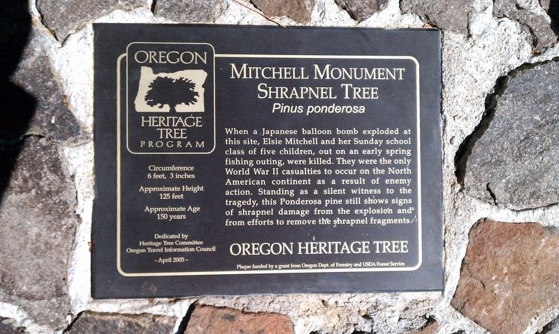 Mitchell Monument Shrapnel Tree Marker image. Click for full size.