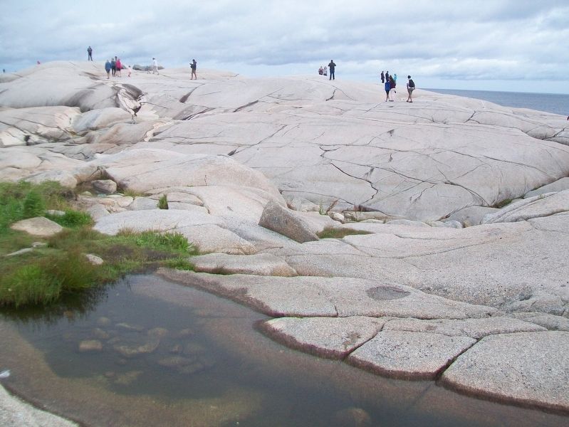 Peggy's Cove Geology image. Click for full size.