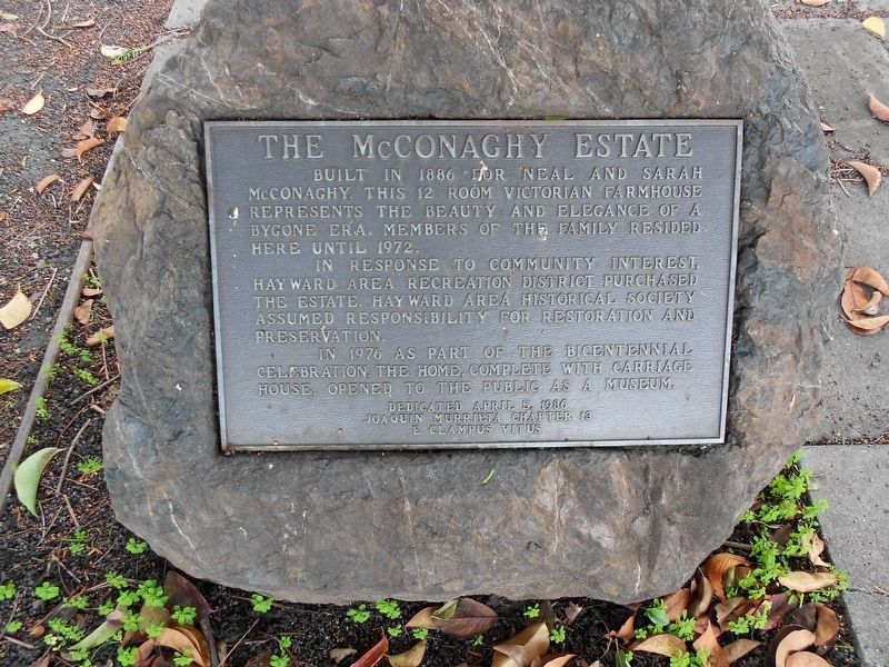 The McConaghy Estate Marker. Click for full size. The McConaghy Estate Marker image. Click for full size.