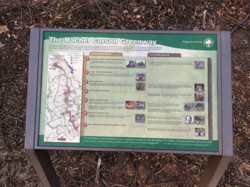 The Rachel Carson Greenway Marker image. Click for full size.