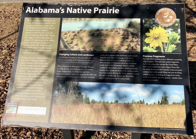 Alabama's Native Prairie Marker image. Click for full size.