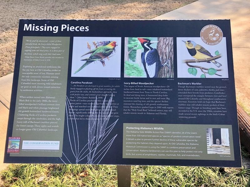 Missing Pieces Marker. Click for full size. Missing Pieces Marker image. Click for full size.