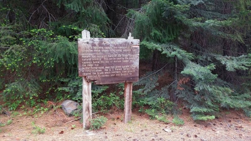 Cat Hill Marker. Click for full size. Cat Hill Marker image. Click for full size.
