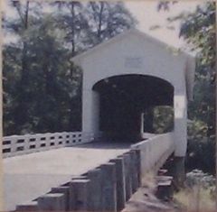 Fall Creek (Pengra) Covered Bridge image. Click for full size.