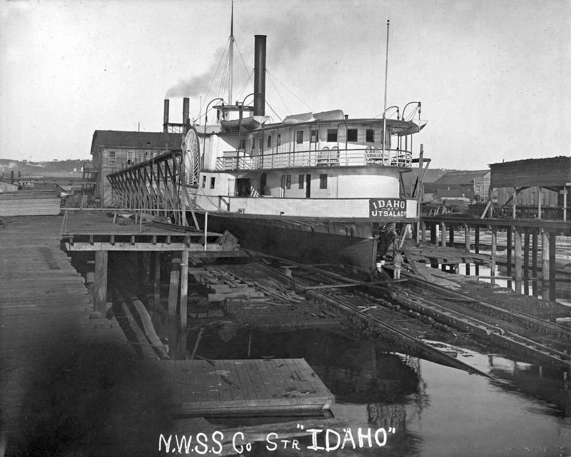 Steamer Idaho. Click for full size. Steamer Idaho image. Click for full size.