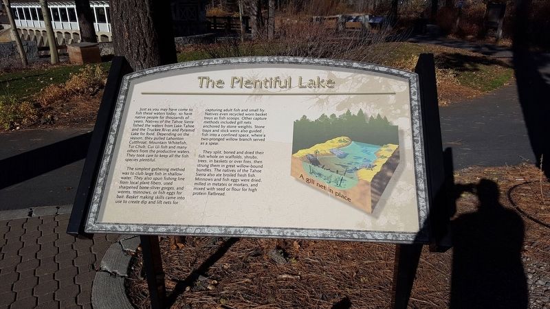 The Plentiful Lake Marker image. Click for full size.