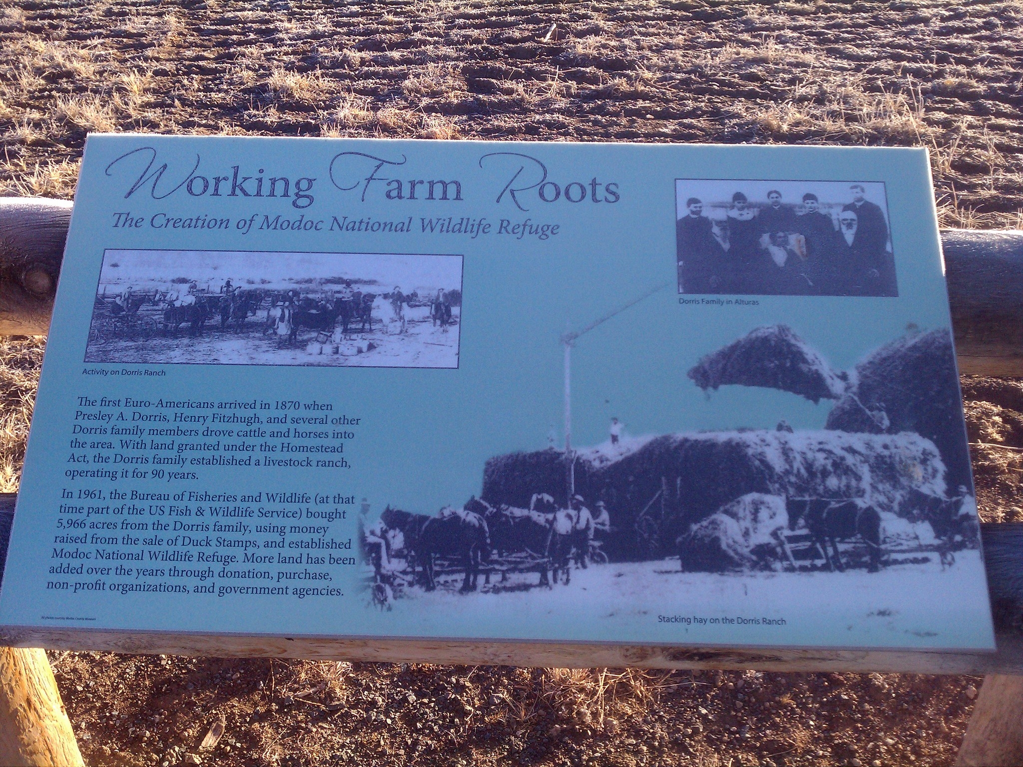 Working Farm Roots Marker