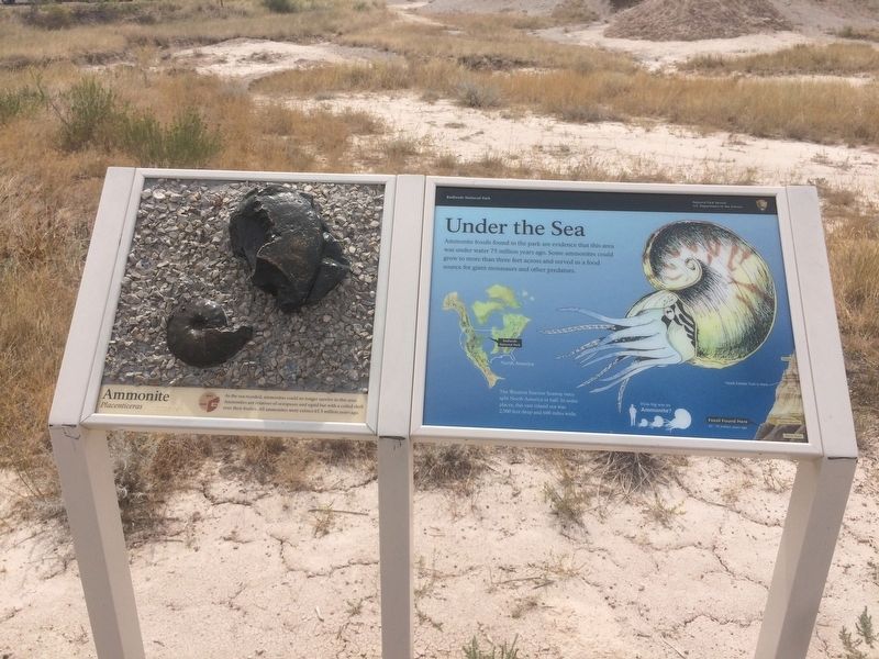 Under the Sea Marker image. Click for full size.