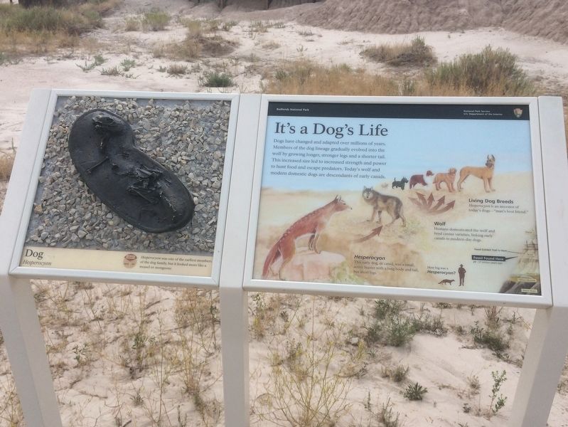 It''s a Dog''s Life Marker. Click for full size. It''s a Dog''s Life Marker image. Click for full size.