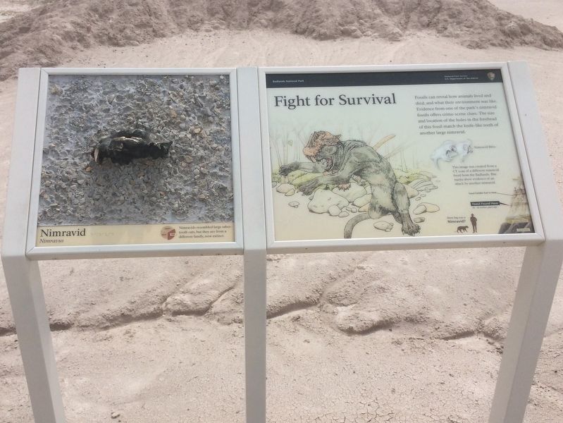 Fight for Survival Marker image. Click for full size.