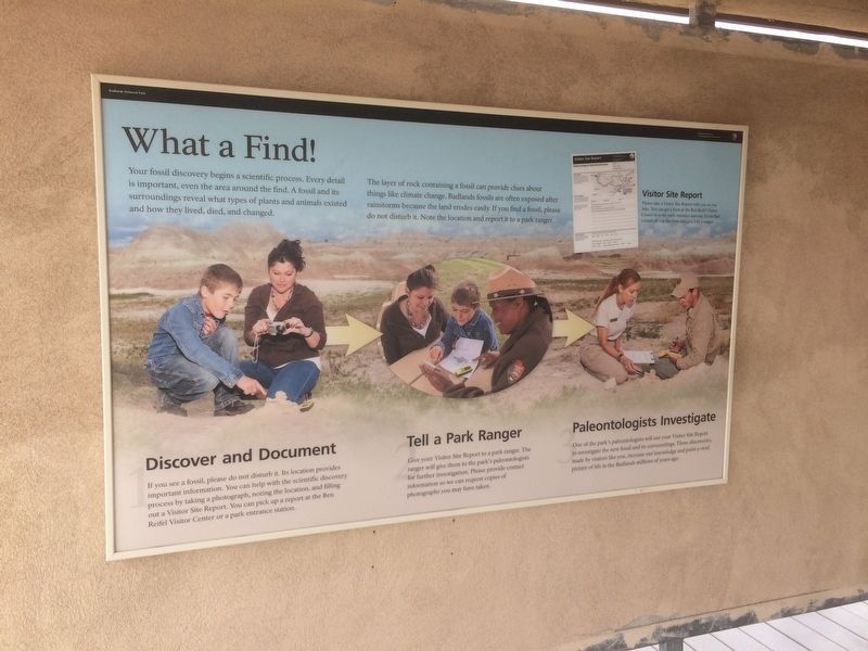 What a Find! Marker. Click for full size. What a Find! Marker image. Click for full size.