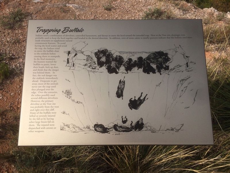 Trapping Buffalo Marker. Click for full size. Trapping Buffalo Marker image. Click for full size.