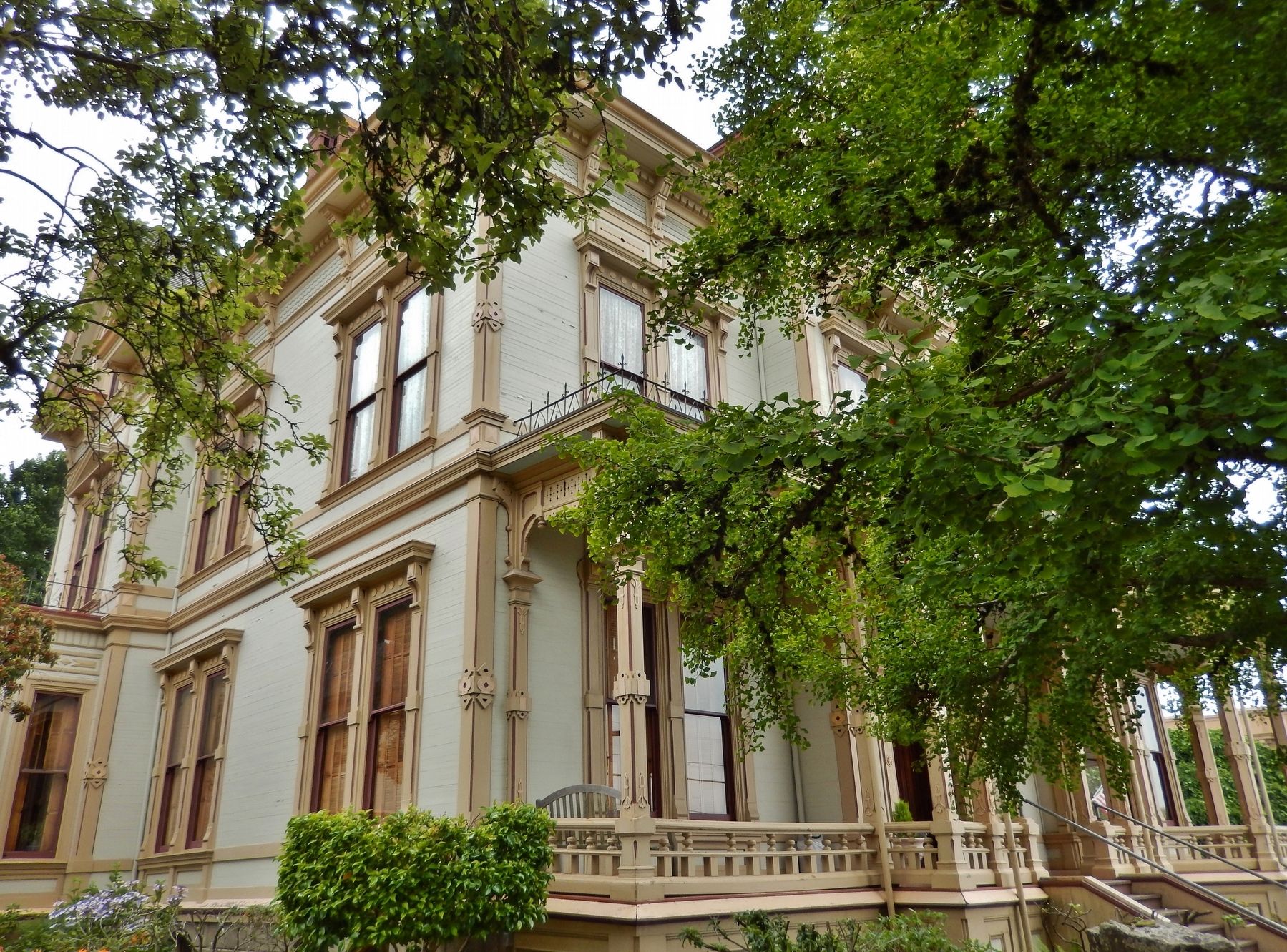 Giant Trees around Flavel House image. Click for full size.