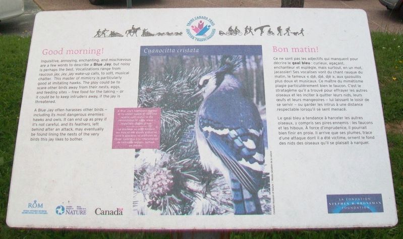 Good morning/Bon matin! Marker. Click for full size. Good morning/Bon matin! Marker image. Click for full size.