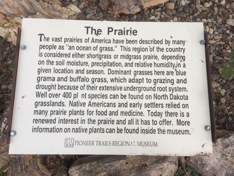 The Prairie Marker image. Click for full size.