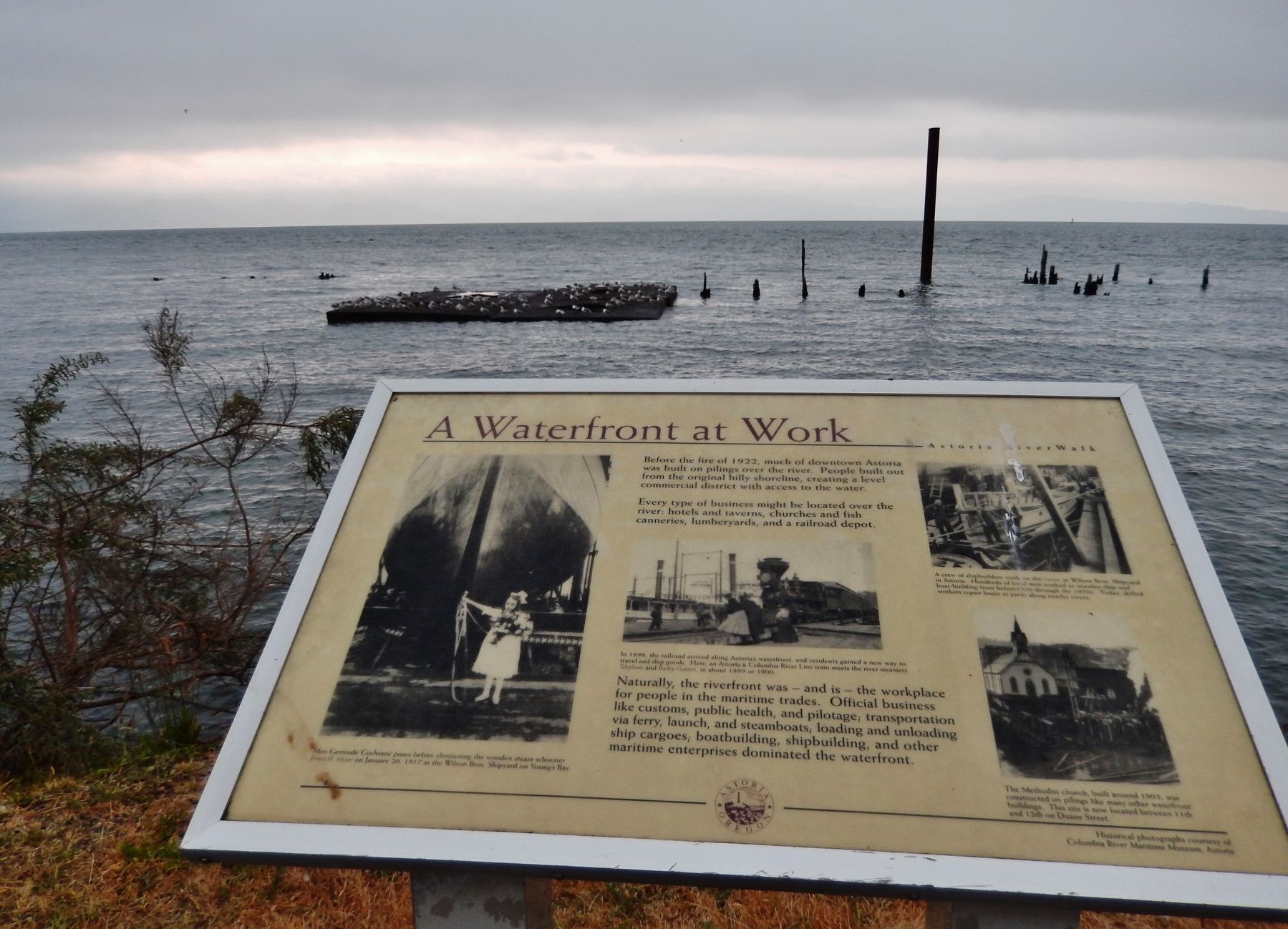A Waterfront at Work Marker (<i>wide view looking north; Columbia River in background</i>) image. Click for full size.