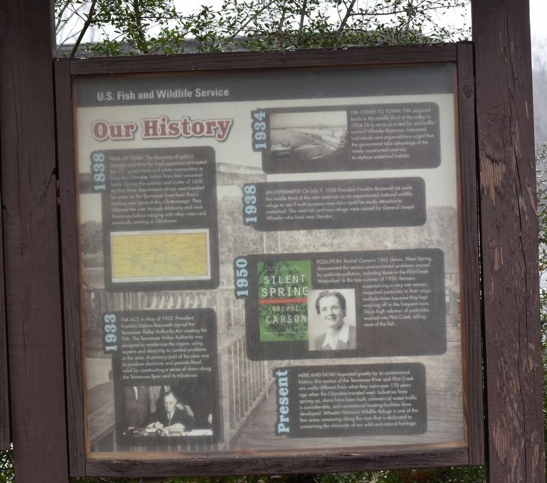 Our History Marker image. Click for full size.