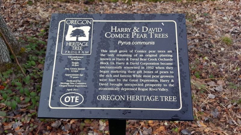 Harry & David Comice Pear Trees Marker image. Click for full size.
