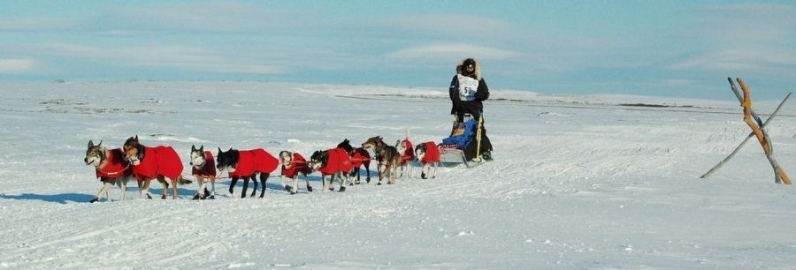 Robert Srlie's team approaches Nome, 2007 image. Click for full size.