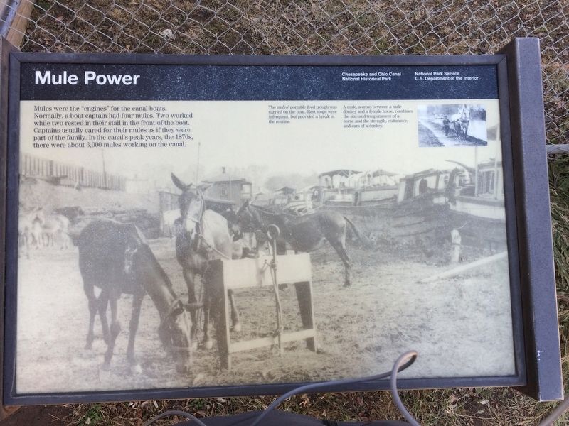 Mule Power Marker image. Click for full size.