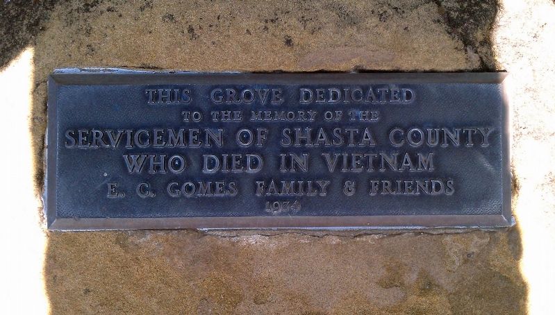 Vietnam War plaque image. Click for full size.
