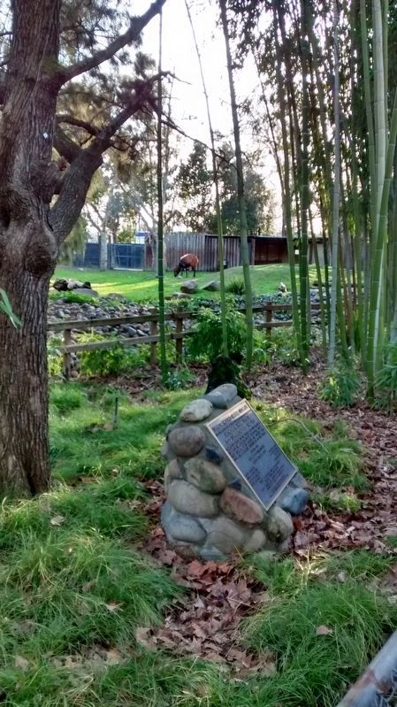 The Marker, with an Eastern Bongo grazing in the background.. Click for full size. The Marker, with an Eastern Bongo grazing in the background. image. Click for full size.