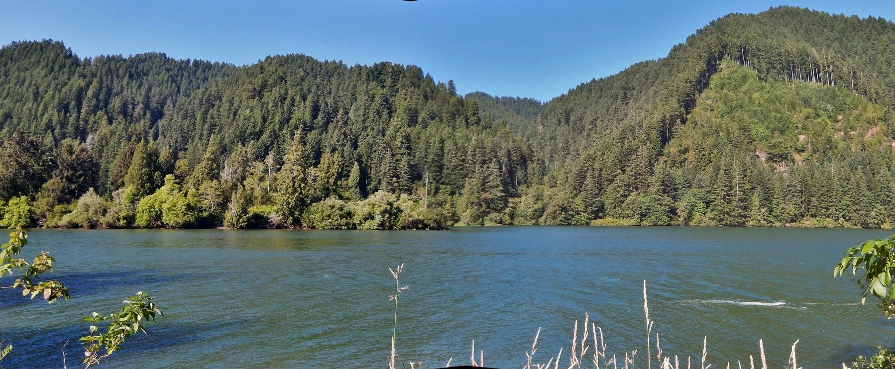 Brandy Bar Island (<i>view north across Umpqua River from the marker</i>) image. Click for full size.