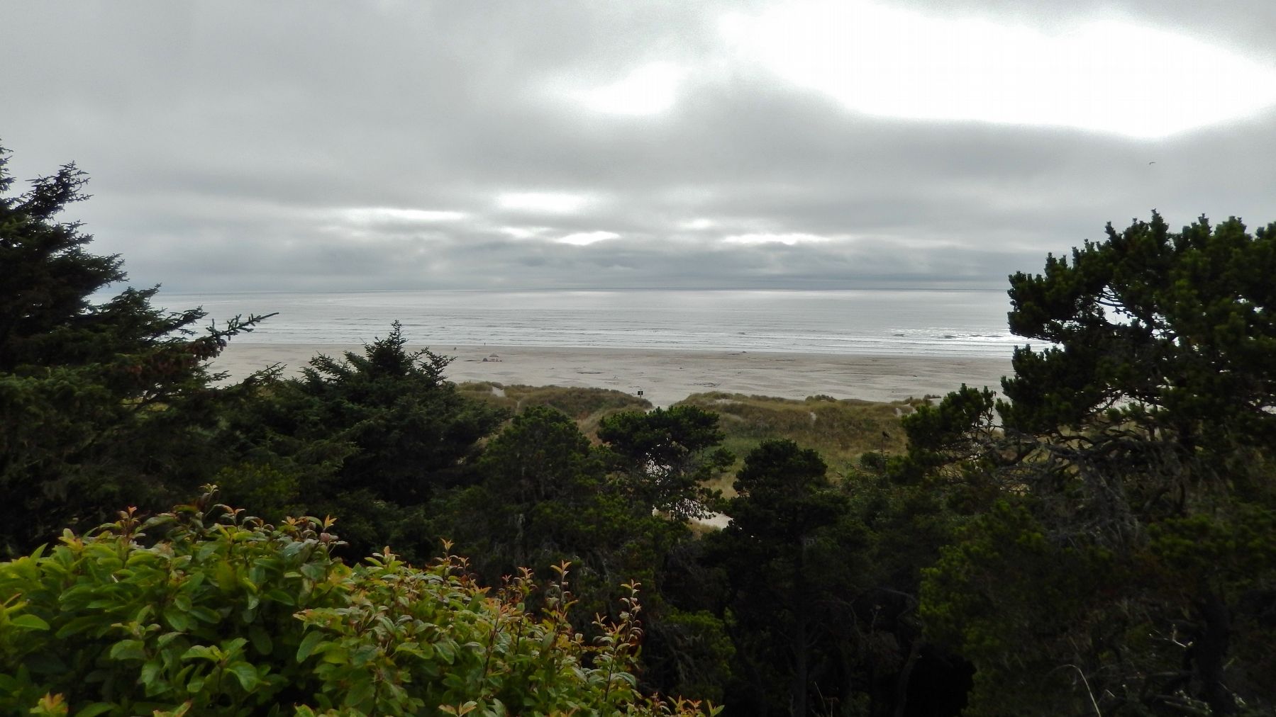 Pacific Ocean (<i>view west from marker</i>) image. Click for full size.