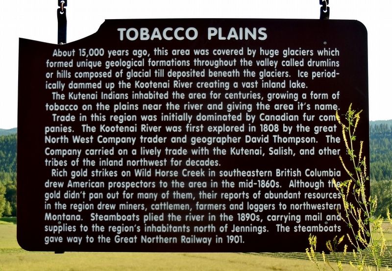 Tobacco Plains Marker image. Click for full size.