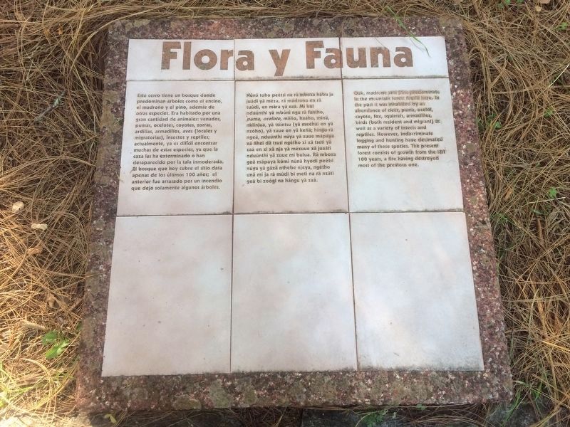 Flora y Fauna, an additional nearby marker image. Click for full size.