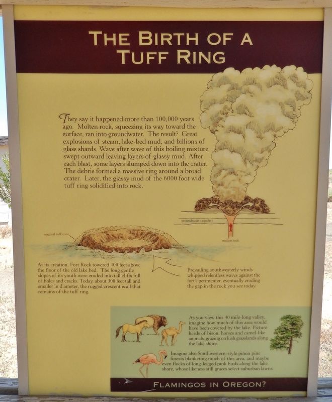 The Birth of a Tuft Ring Marker image. Click for full size.