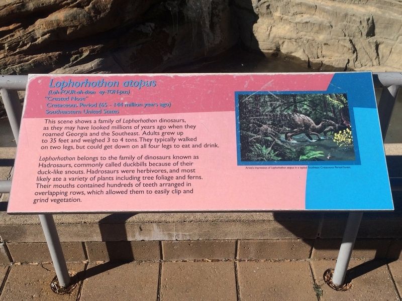 Lophorhothon atopus Marker. Click for full size. Lophorhothon atopus Marker image. Click for full size.