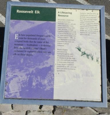 Roosevelt Elk Marker image. Click for full size.