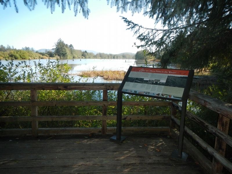 Why are Those Poles in the Water? Marker. Click for full size. Why are Those Poles in the Water? Marker image. Click for full size.