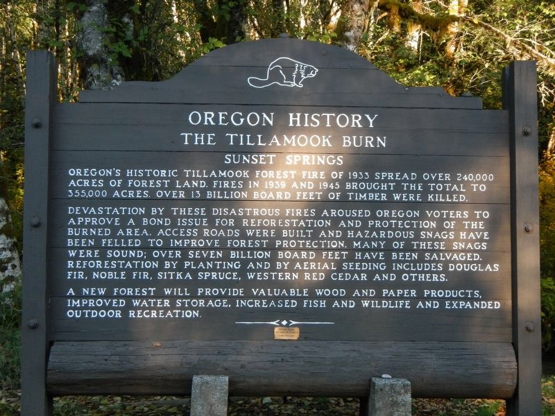 The Tillamook Burn Marker image. Click for full size.