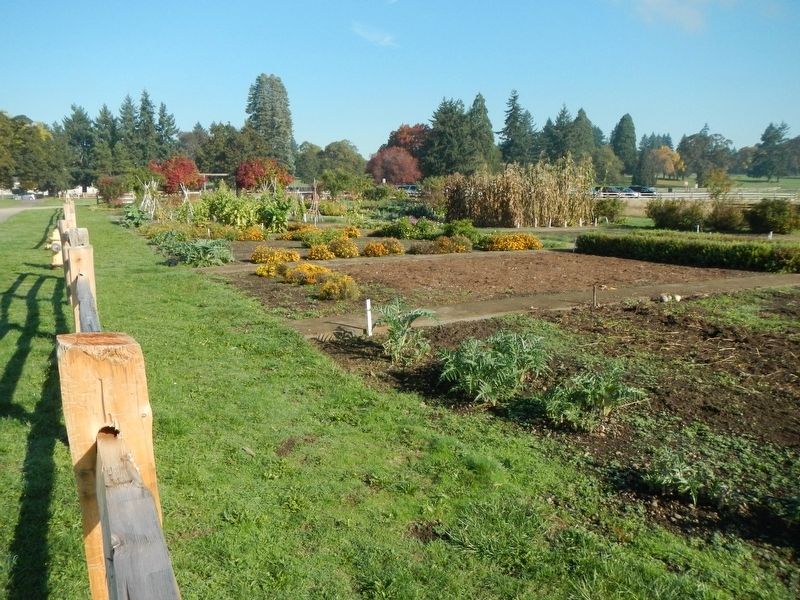 The Fort Vancouver Garden image. Click for full size.